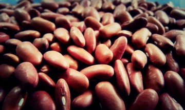 Kidney beans