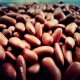 Kidney beans